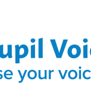 Pupil Voice Week 2018